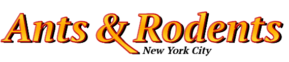 New York City Ant Exterminator & Rodent Control Company Logo